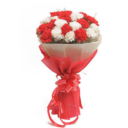 Red & White Carnation Bunch  delivery in Patna