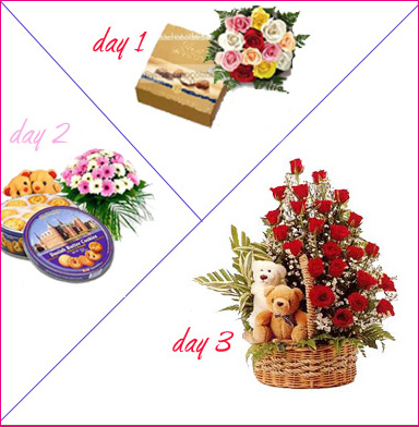 3 Days Package