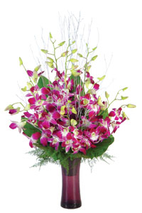 10 Orchids in a Vase