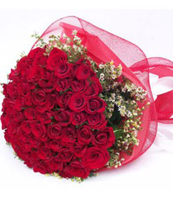 50 Red roses bunch with Net Packing