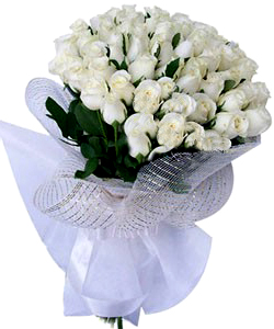 Hand Bunch of 50 White Roses