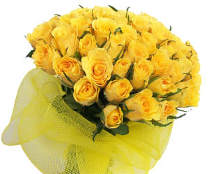 A Bunch of 50 Yellow Roses