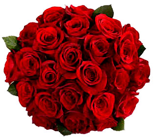 Bunch of 20 Red roses.