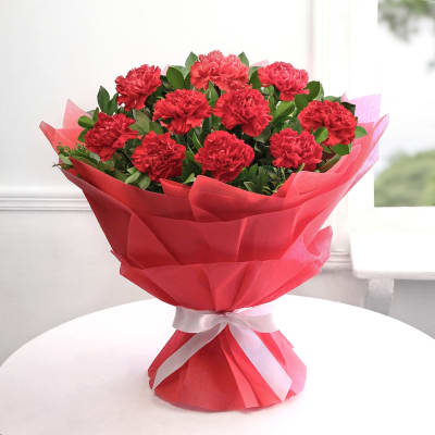 Red Carnation Bunch delivery in Noida