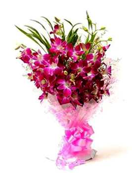 Bunch of 10 Purple Orchid Bunch  delivery in Noida