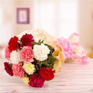12 Mix Carnation Bunch. delivery in Noida