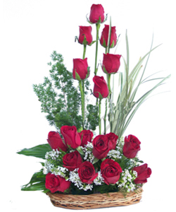 18 Red Roses arranged in a Basket